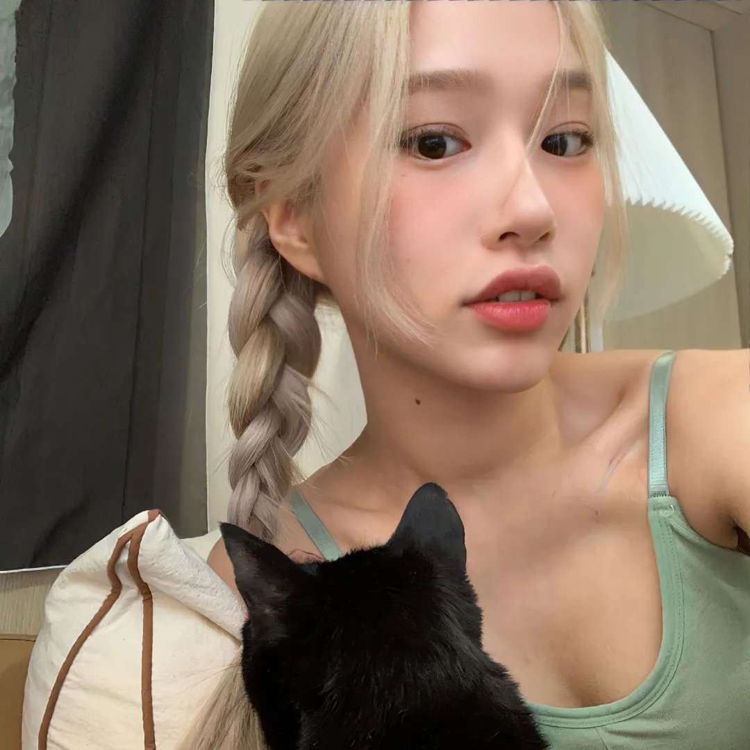 甜梦猫
